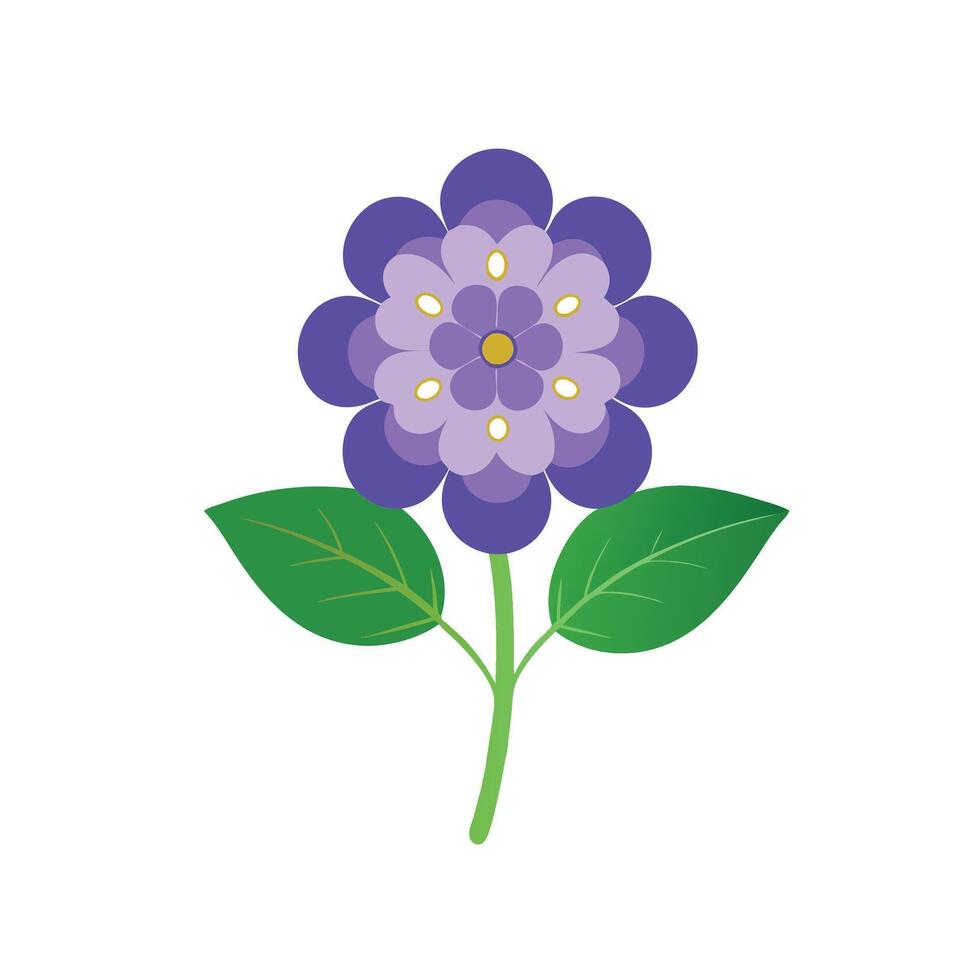 Heliotrope flower isolated flat illustration on white background vector