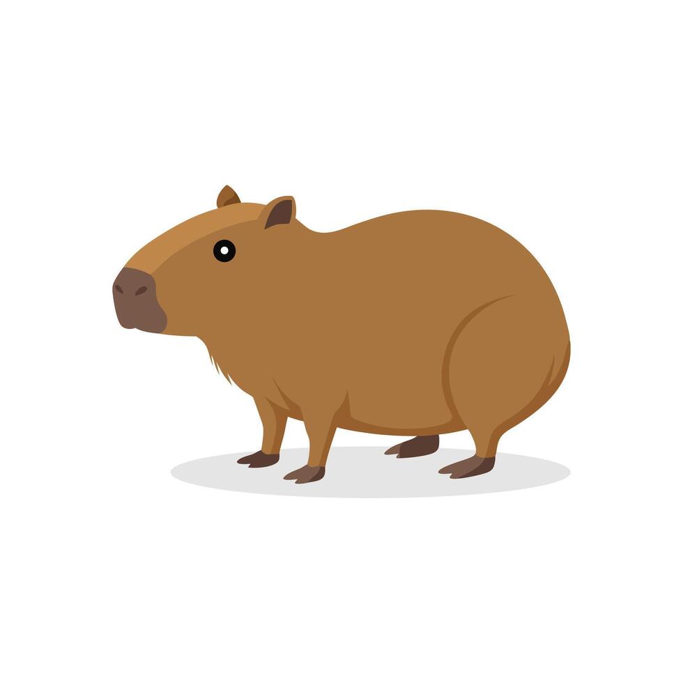 Capybara isolated flat illustration on white background vector