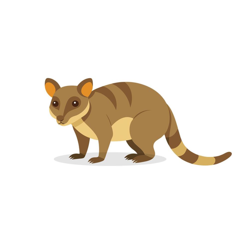 Cuscus isolated flat illustration on white background vector
