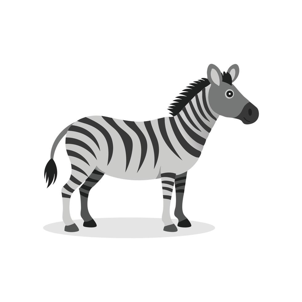 Zebra isolated flat illustration on white background vector