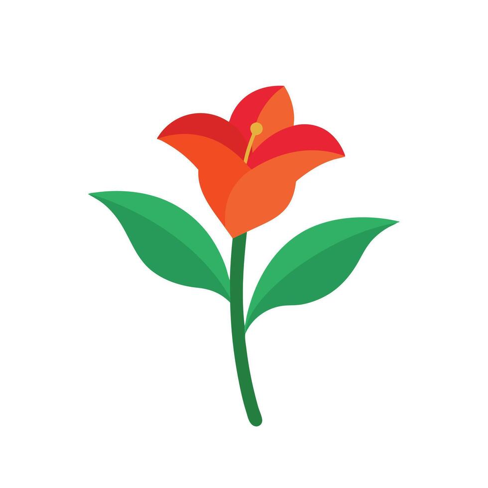 Canna Lily flower isolated flat illustration on white background. vector