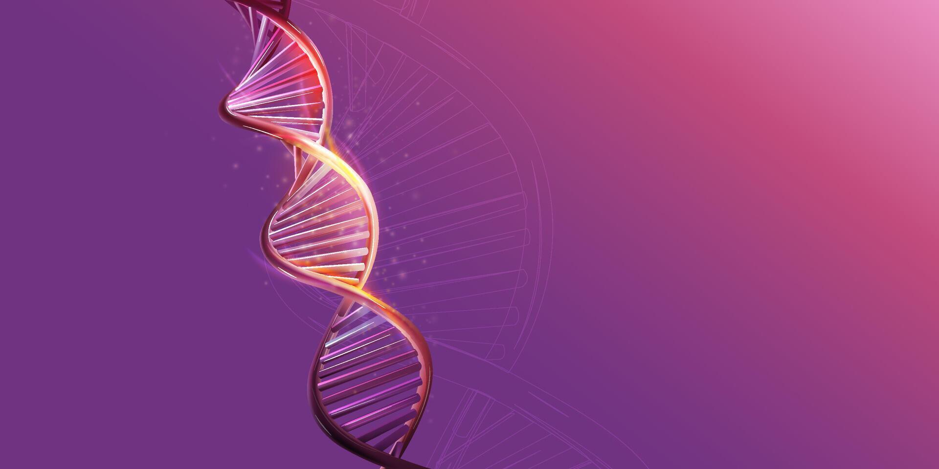 DNA double helix model on a purple background. vector