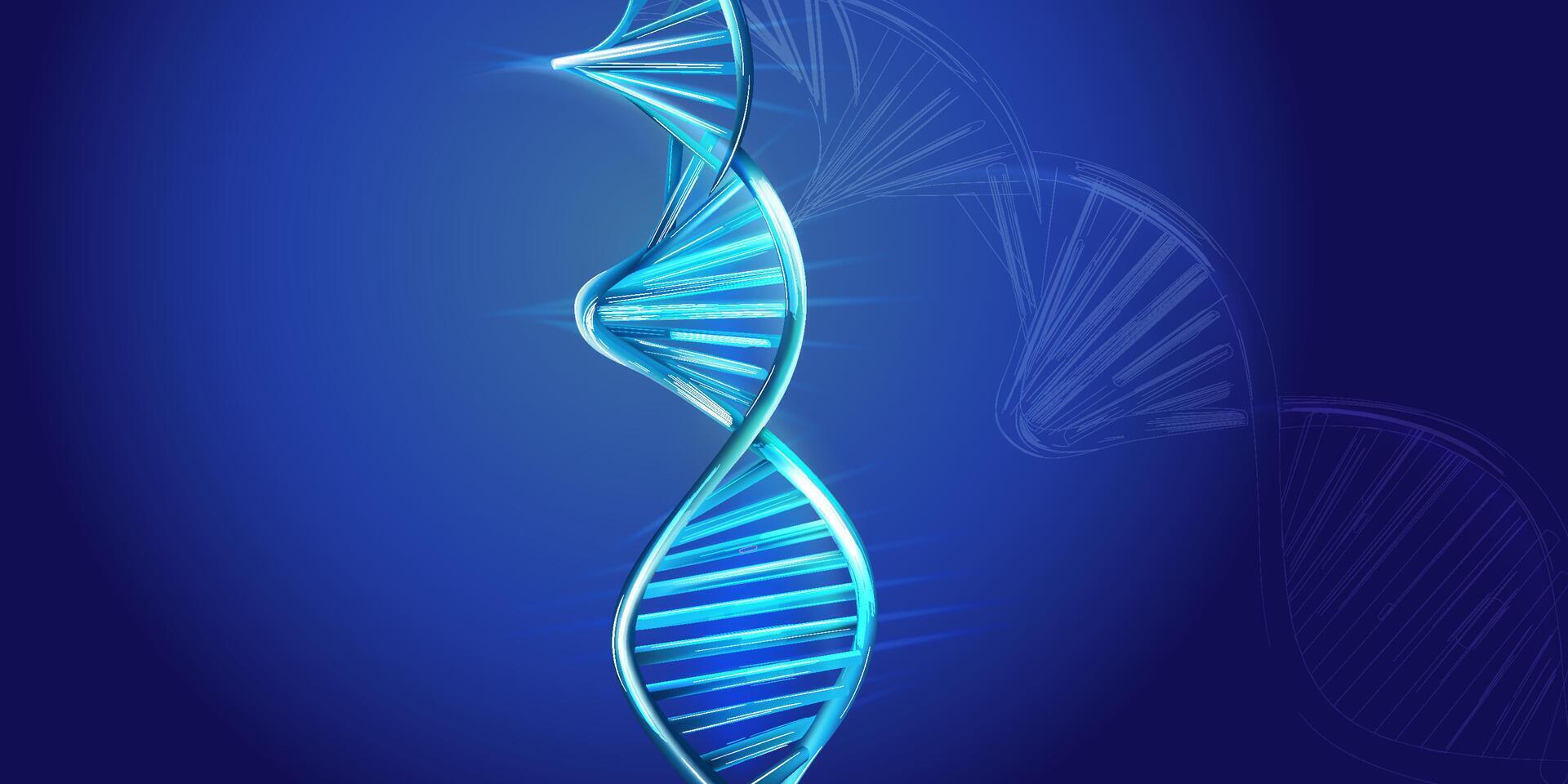 DNA spiral model on a blue background. vector