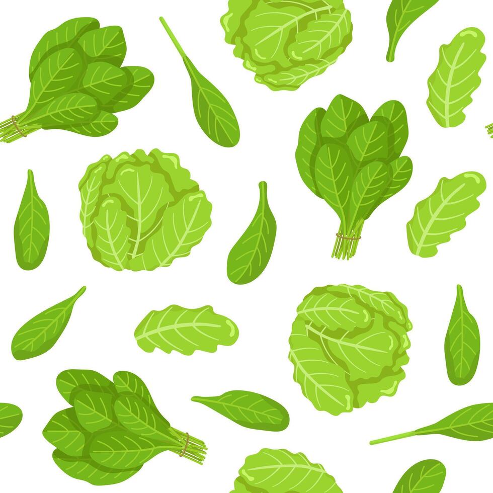 Iceberg lettuce and spinach seamless pattern. Fresh greenery image from the garden. Vegetarian food. Botanical illustration. vector