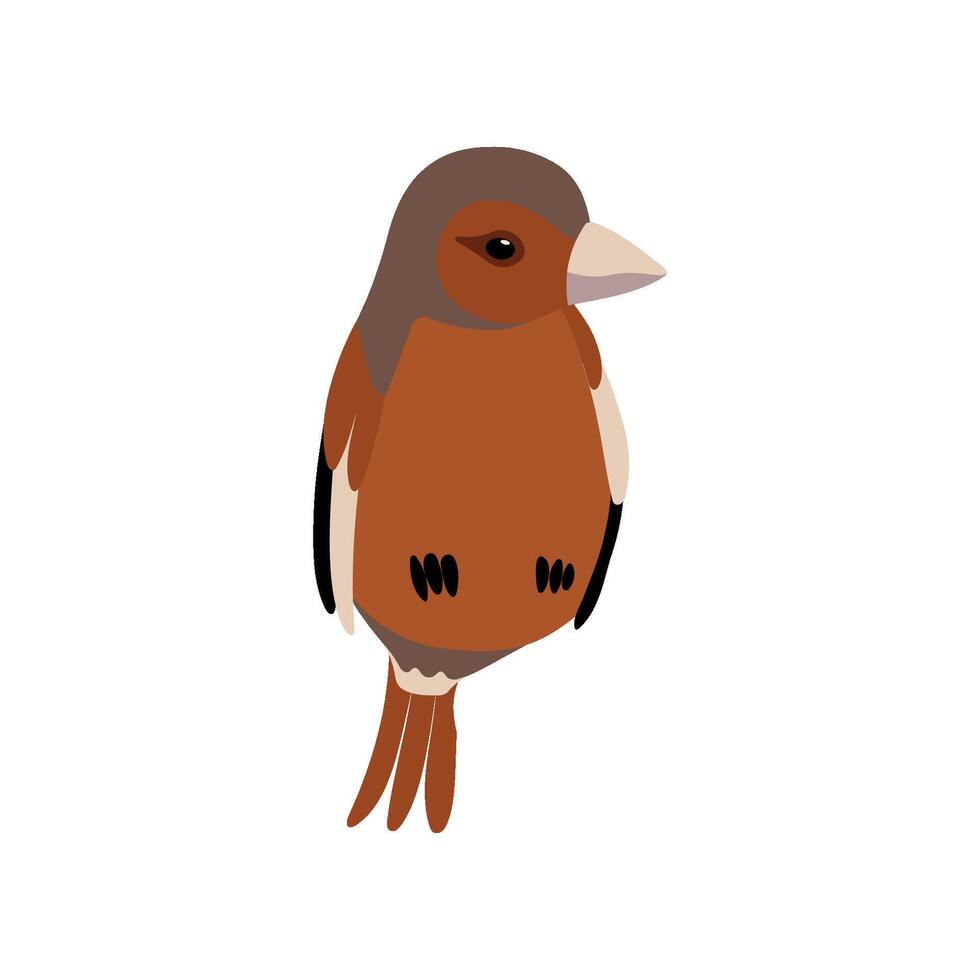 Little Sparrow Bird, Cute Birdie Home Pet Illustration vector