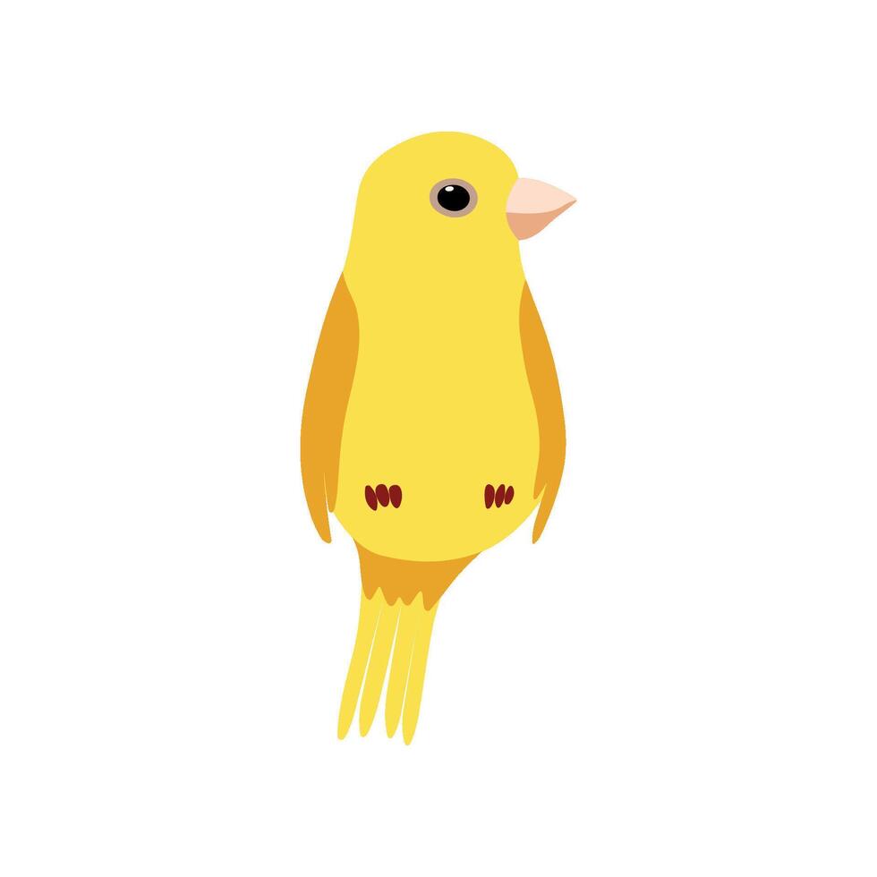 Little Canary Bird, Cute Yellow Budgie Home Pet Illustration vector