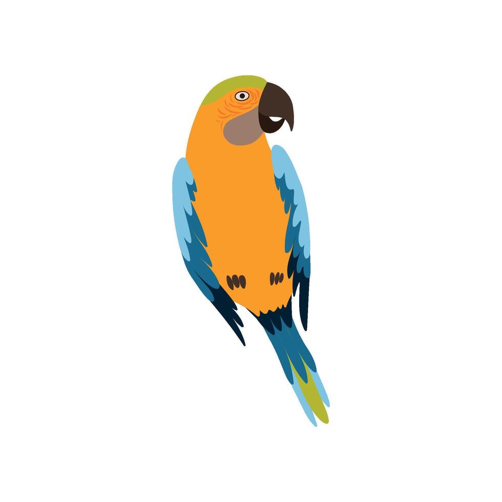 Parrot Bird, Cute Colorful Budgie Home Pet Illustration vector
