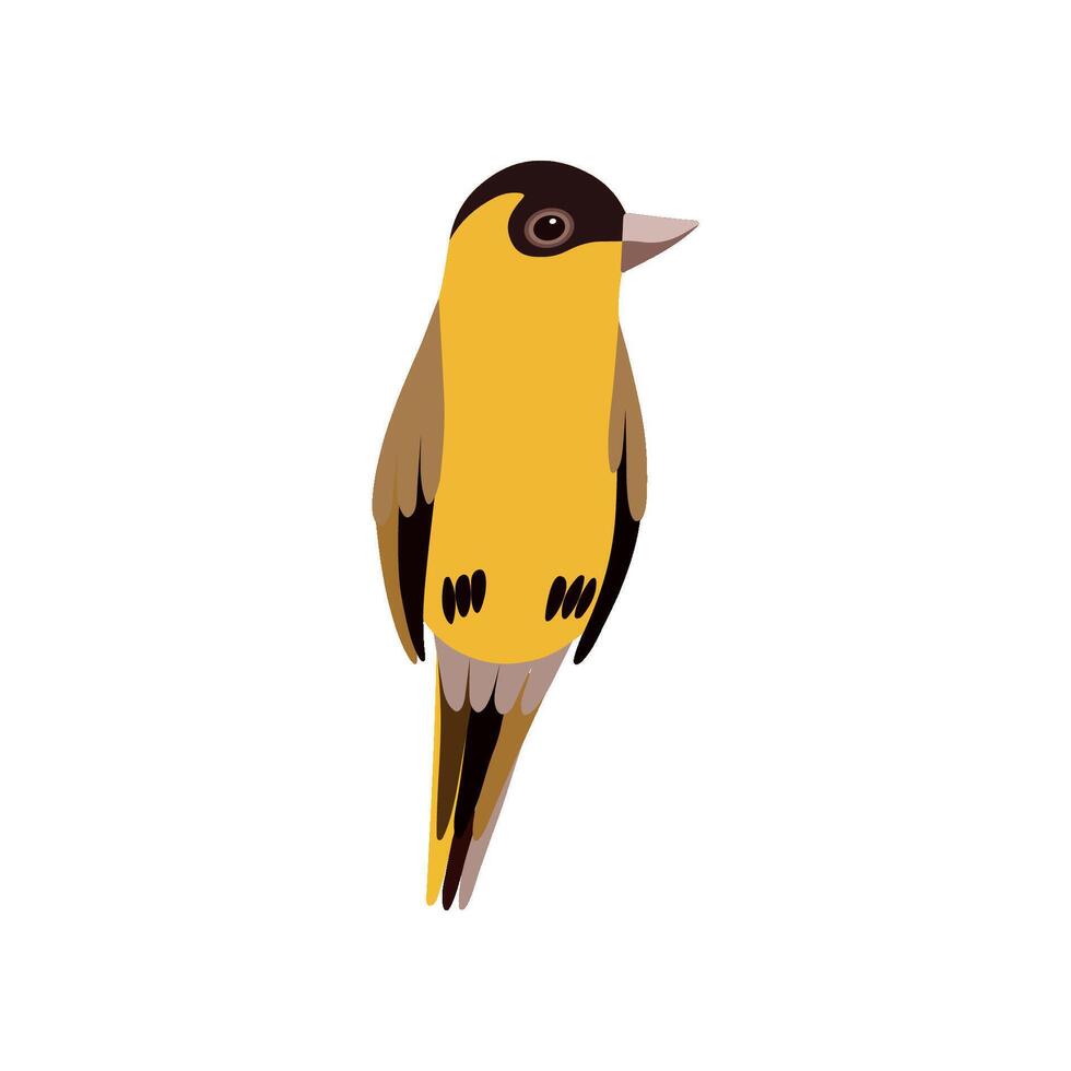 Little Bird, Cute Orange Budgie Home Pet Illustration vector
