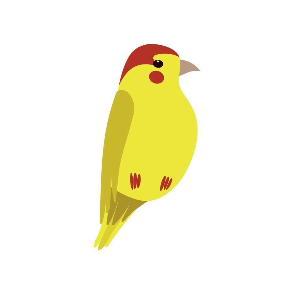 Little Yellow Bird, Cute Birdie Home Pet Illustration vector