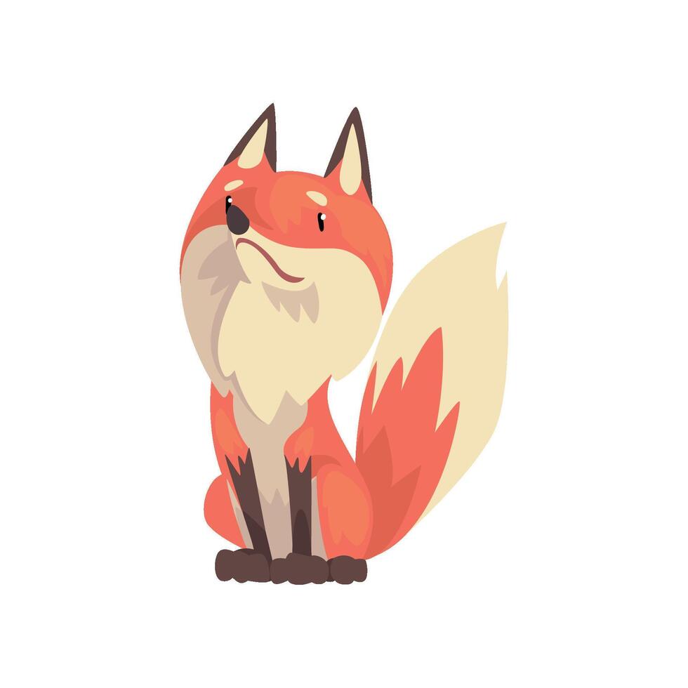 Cute Sitting Red Fox Character, Front View Cartoon Illustration vector