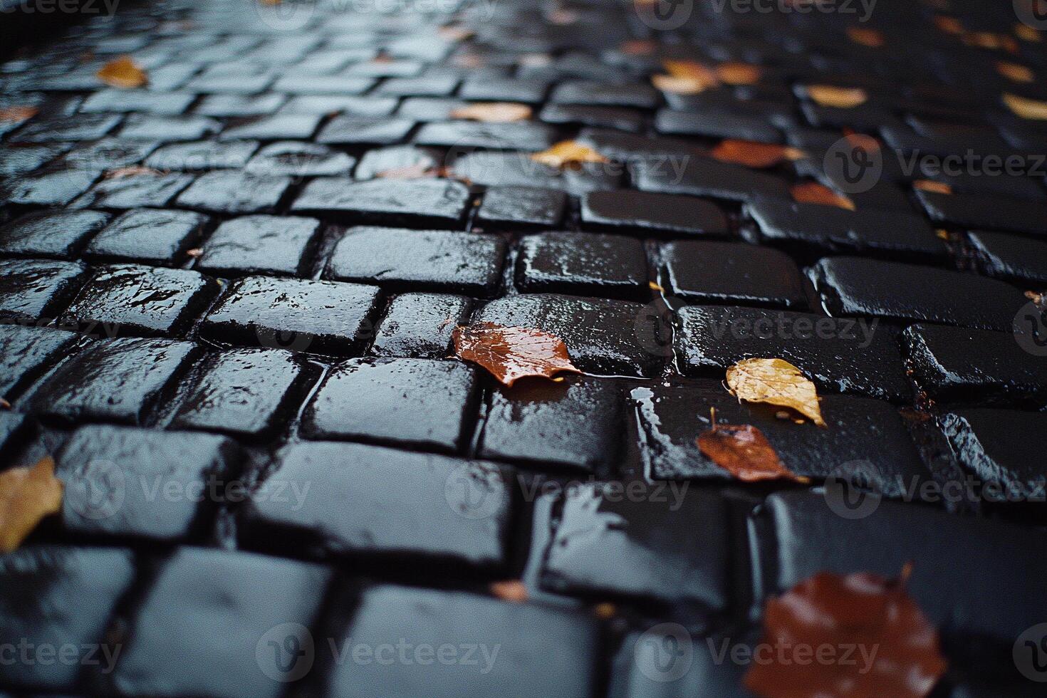 A cobblestone street with leaves on it photo
