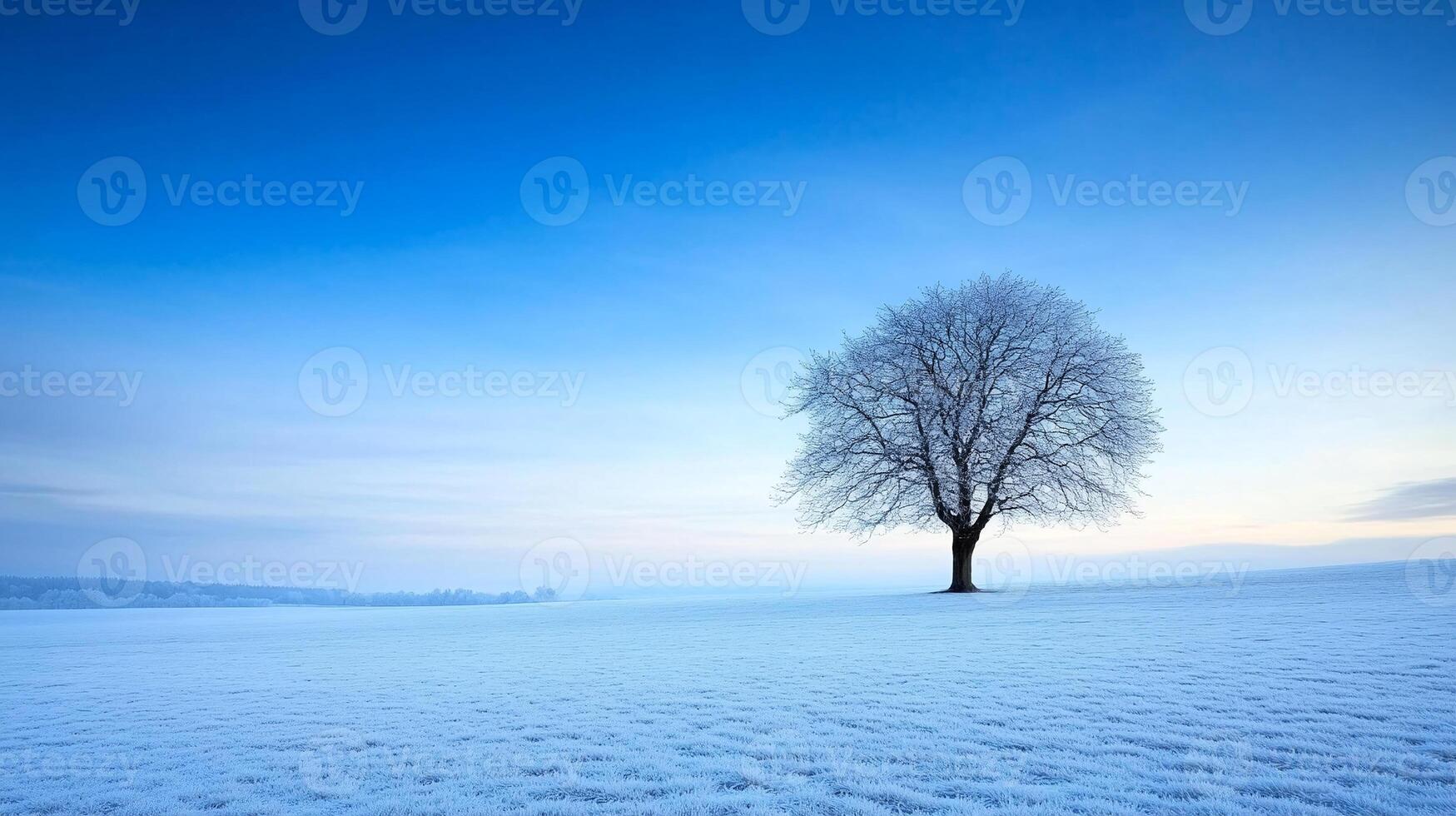 A lone tree stands in a snowy field photo