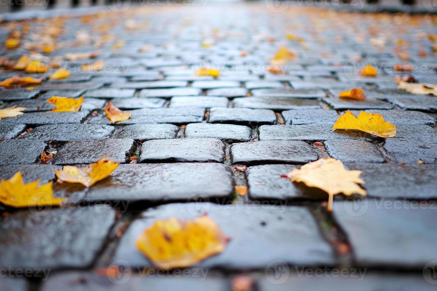 Autumn leaves on cobblestones photo
