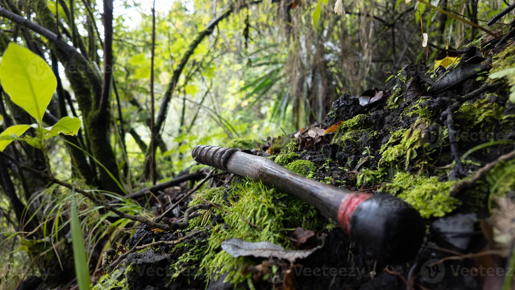 Wooden walking stick resting on mossy ground in lush forest during daylight photo