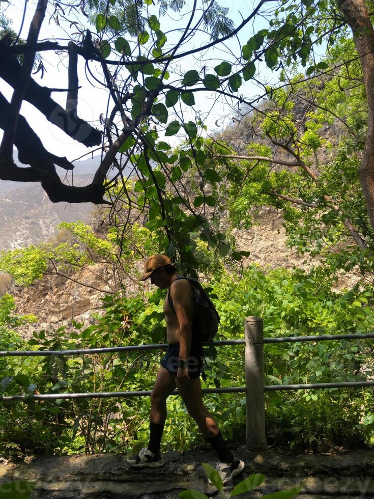 Hiker navigating a scenic trail in a lush green environment during a sunny day photo