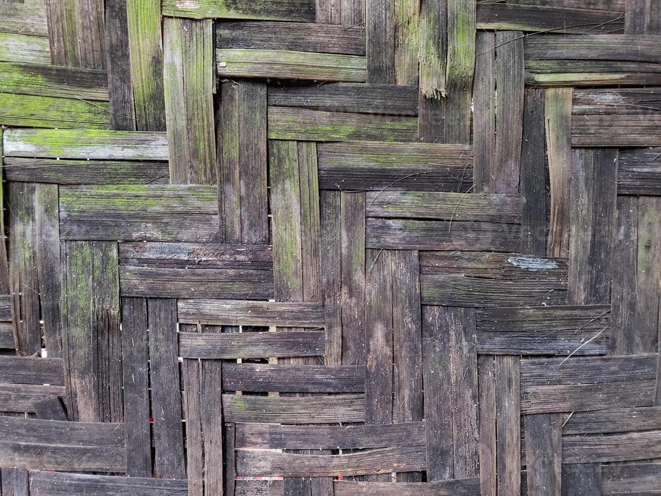 A close up of a bamboo wall with green moss photo