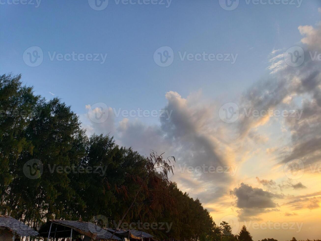 Sunset Sky with Trees and a Row of Thatched Roof Structures photo