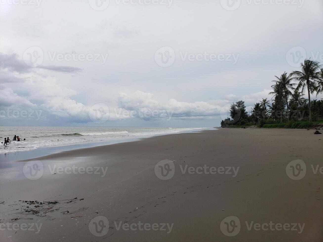 Tranquil Beach Scene with Palm Trees and People Swimming in the Ocean photo