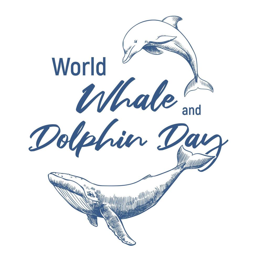 Whale and Dolphin Day poster. Concept of the problem of preserving animal diversity in the ocean. linear drawing of a humpback whale and an orca. T-shirt print. vector