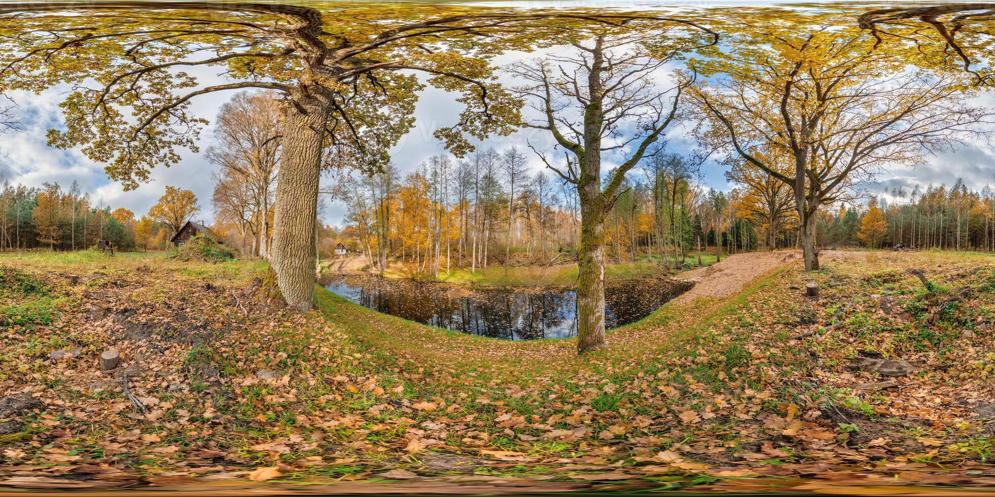 seamless spherical 360 hdri panorama in middle of oak forest near an abandoned pond or lake in golden autumn in equirectangular projection, ready VR AR virtual reality content photo