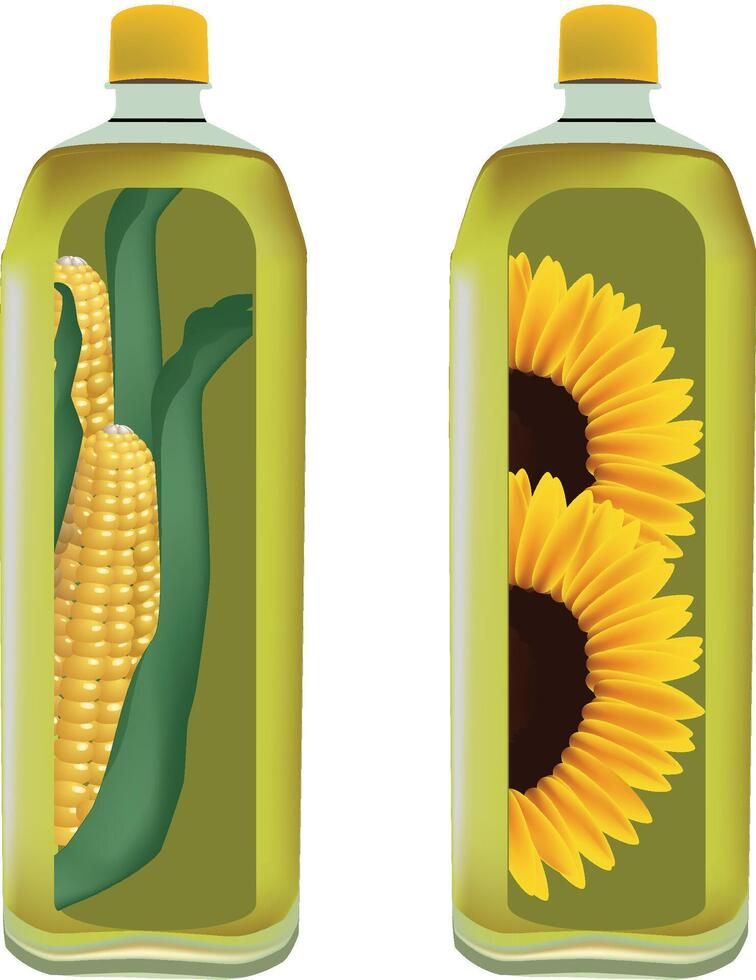 Two bottles of sunflower oil with corn inside vector