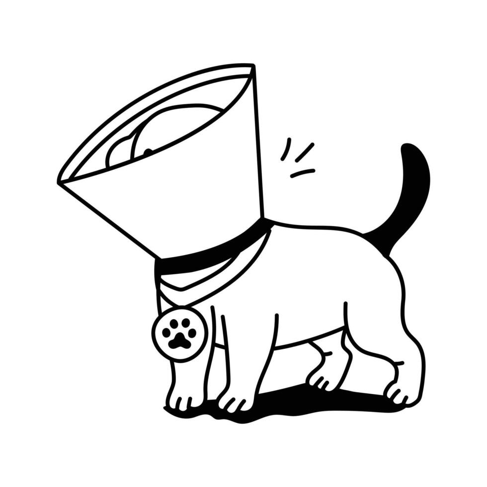 Protective cone for pets to prevent licking or scratching wounds vector