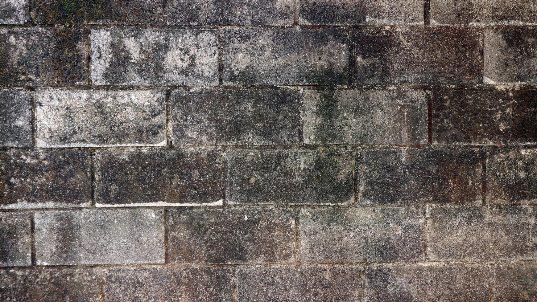 Weathered Concrete Wall Texture Background photo