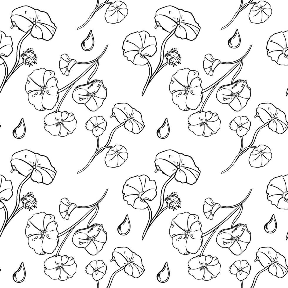 Centella asiatica and drops black white seamless pattern isolated. Repeated texture of pennywort, gotu kola herbal plants drawn monochrome. Tiger herb linear sketch painted for package, textile vector