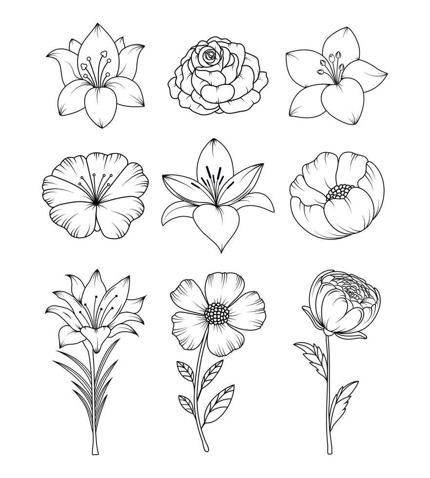 Collection of hand drawn flowers. scribbles. Minimalistic Herbal Botanical Doodle Set. Single line art and clip art. Silhouette. editable strokes. Elements. Floral frame. Vintage sketch. Cut out. vector