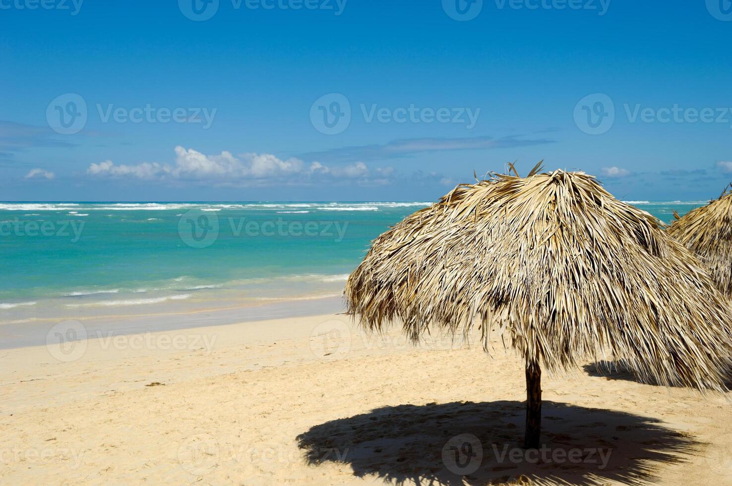 Parasol at exotic beach photo