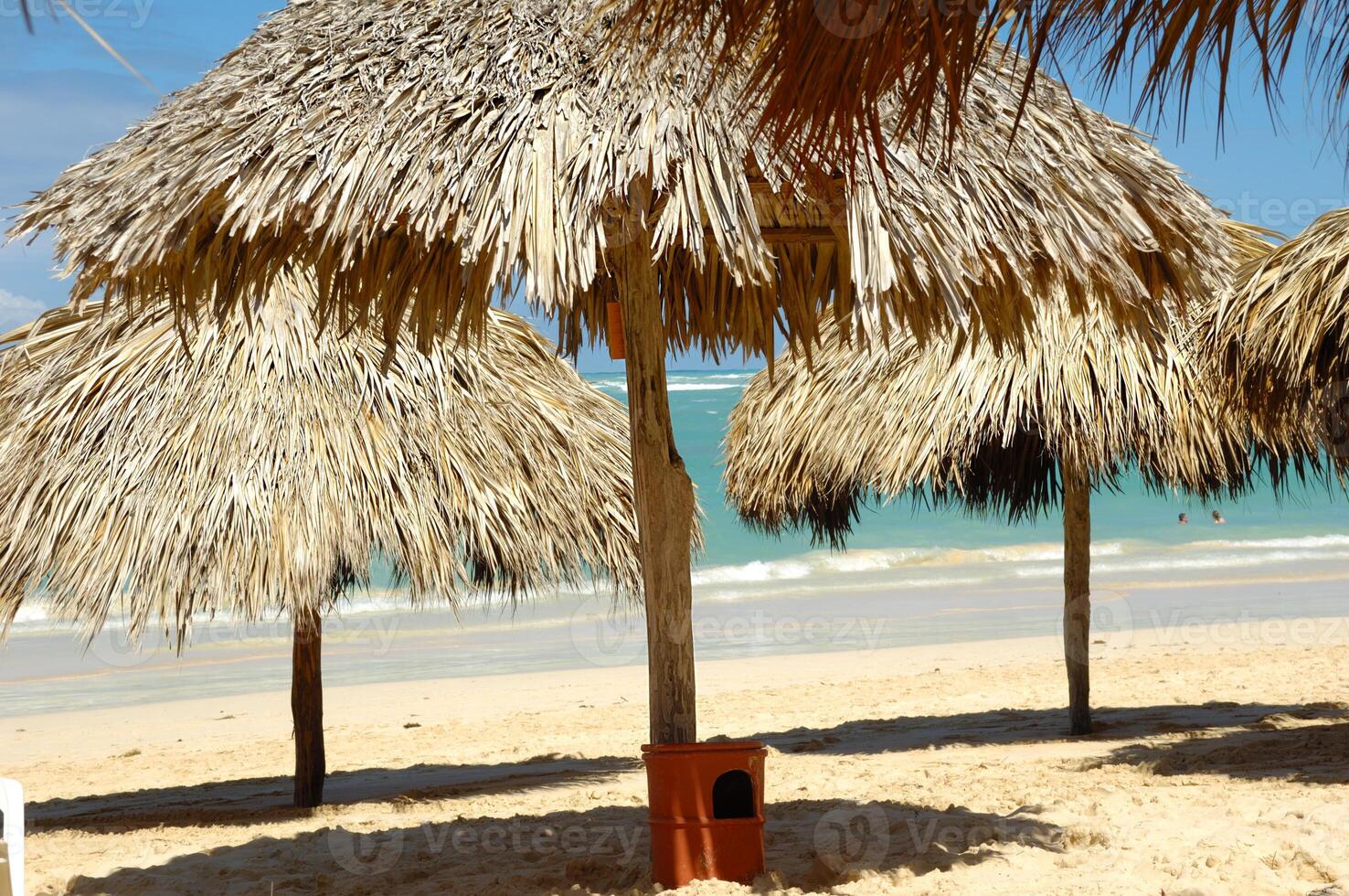 Parasols on beach photo
