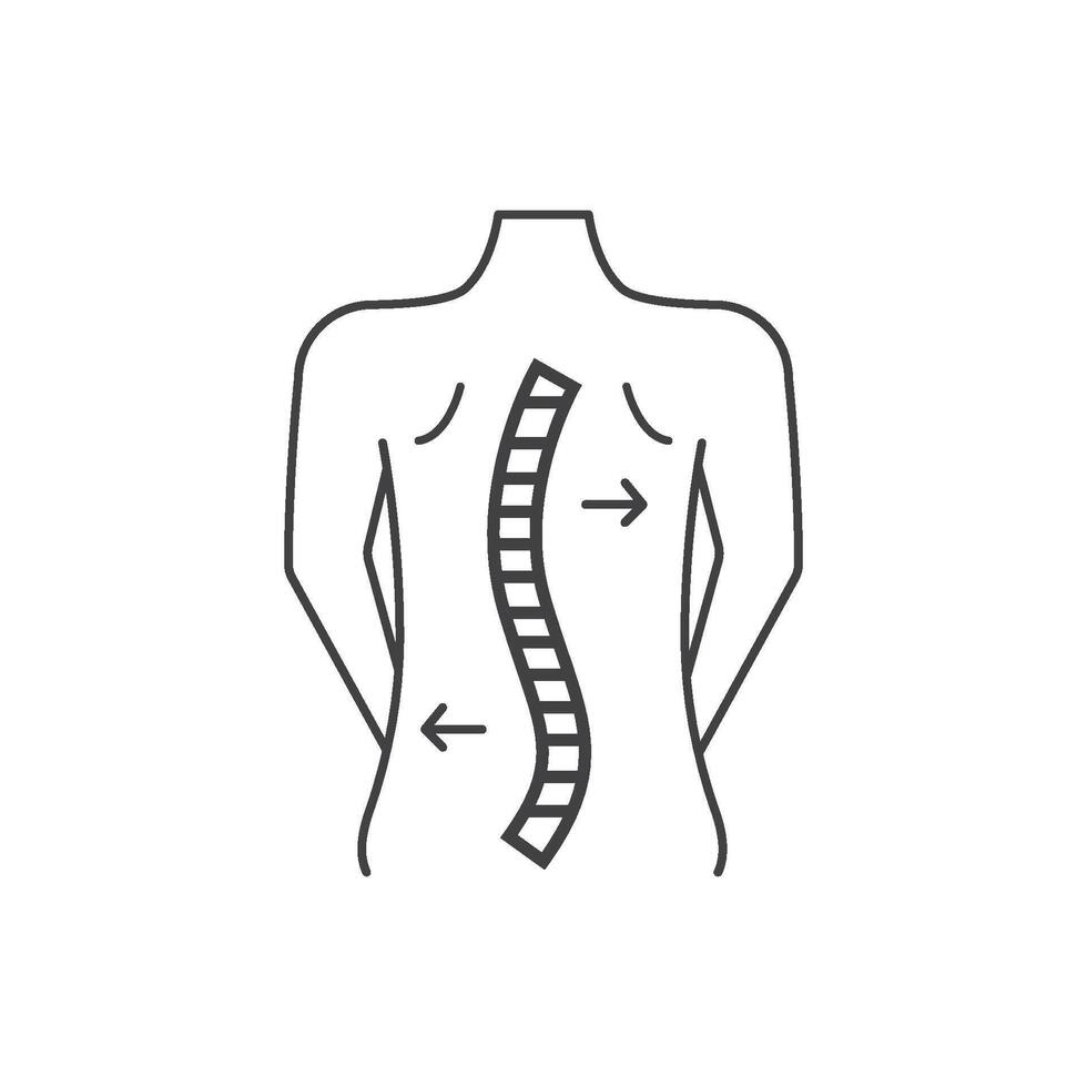 Spinal curvature correction with arrows vector