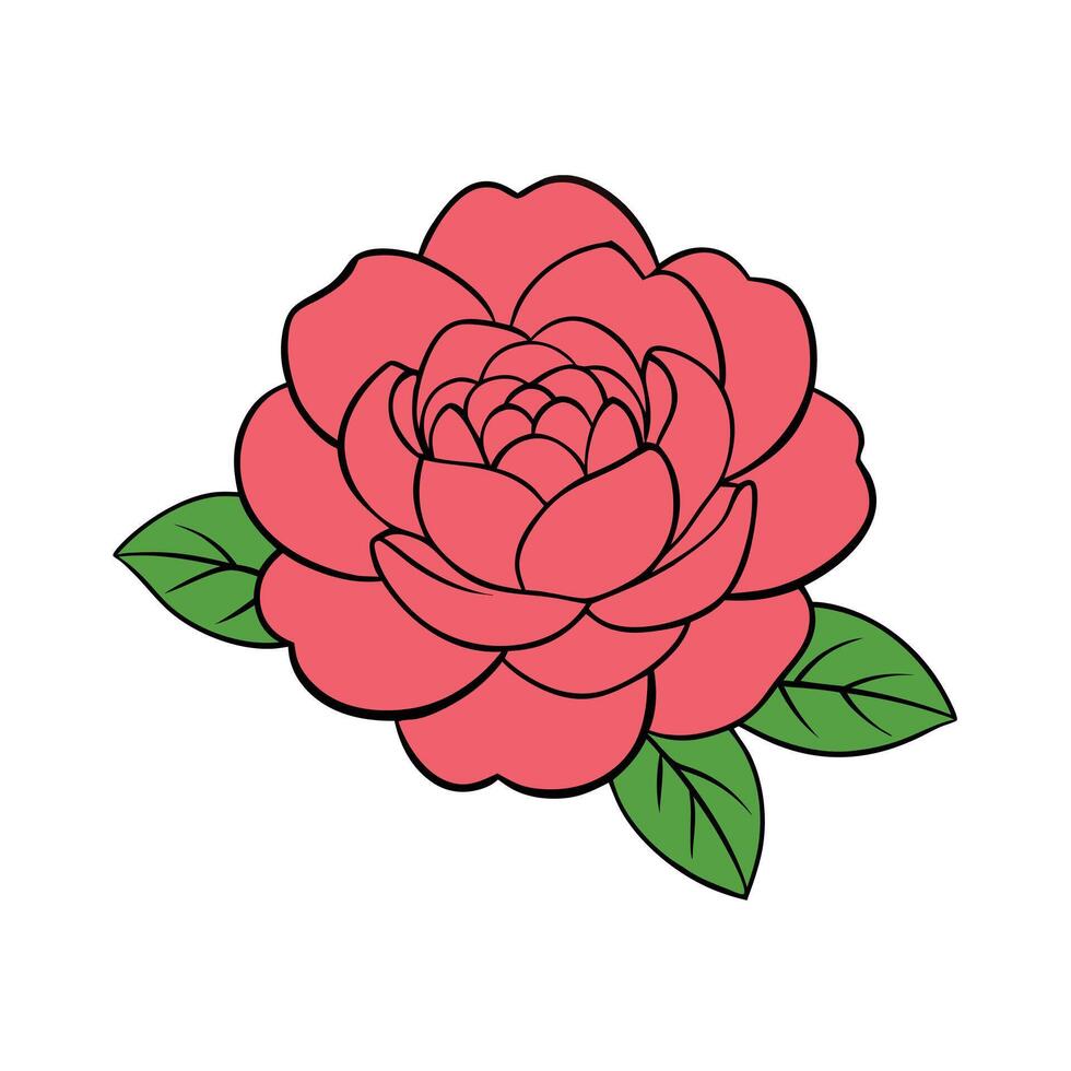 Peony Flower Art Illustration vector