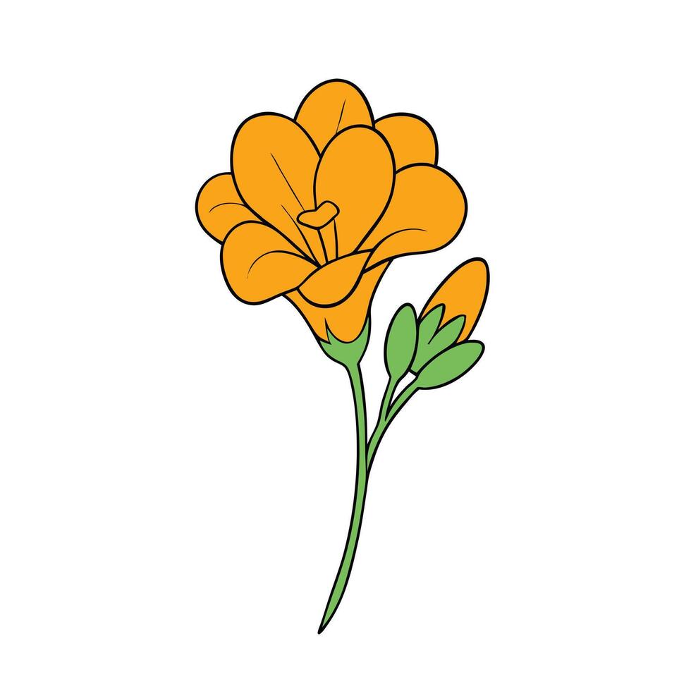 Freesia Flower Art Illustration vector