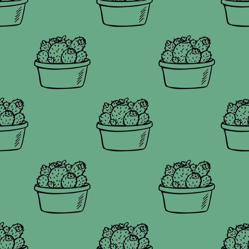 Seamless pattern with cactus doodle for decorative print, wrapping paper, greeting cards and fabric vector