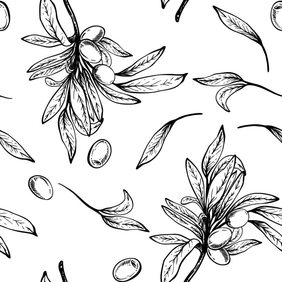 Olive tree branch, leaves and berries seamless pattern. Botanical hand drawn linear drawing illustration. Floral clipart for fabric, package, wallpaper, food packaging. Isolated from background vector