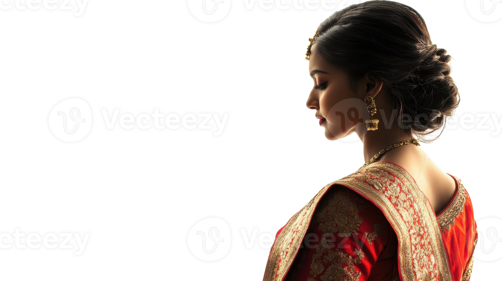 A Beautifully Dressed Girl in Traditional Indian Saree Perfect for Celebrating Festivals and Cultural Events. png