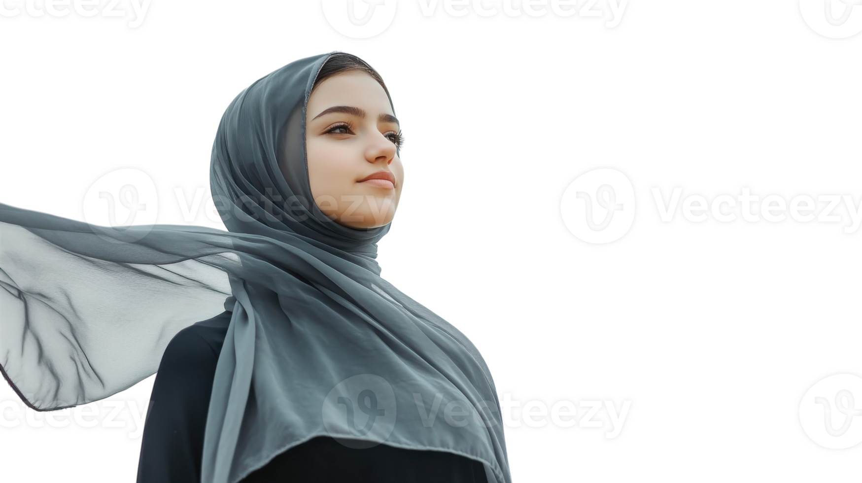 Elegant Modest Long Sleeved Dress Perfect for Various Occasions Such as Family Gatherings and Formal Events. png