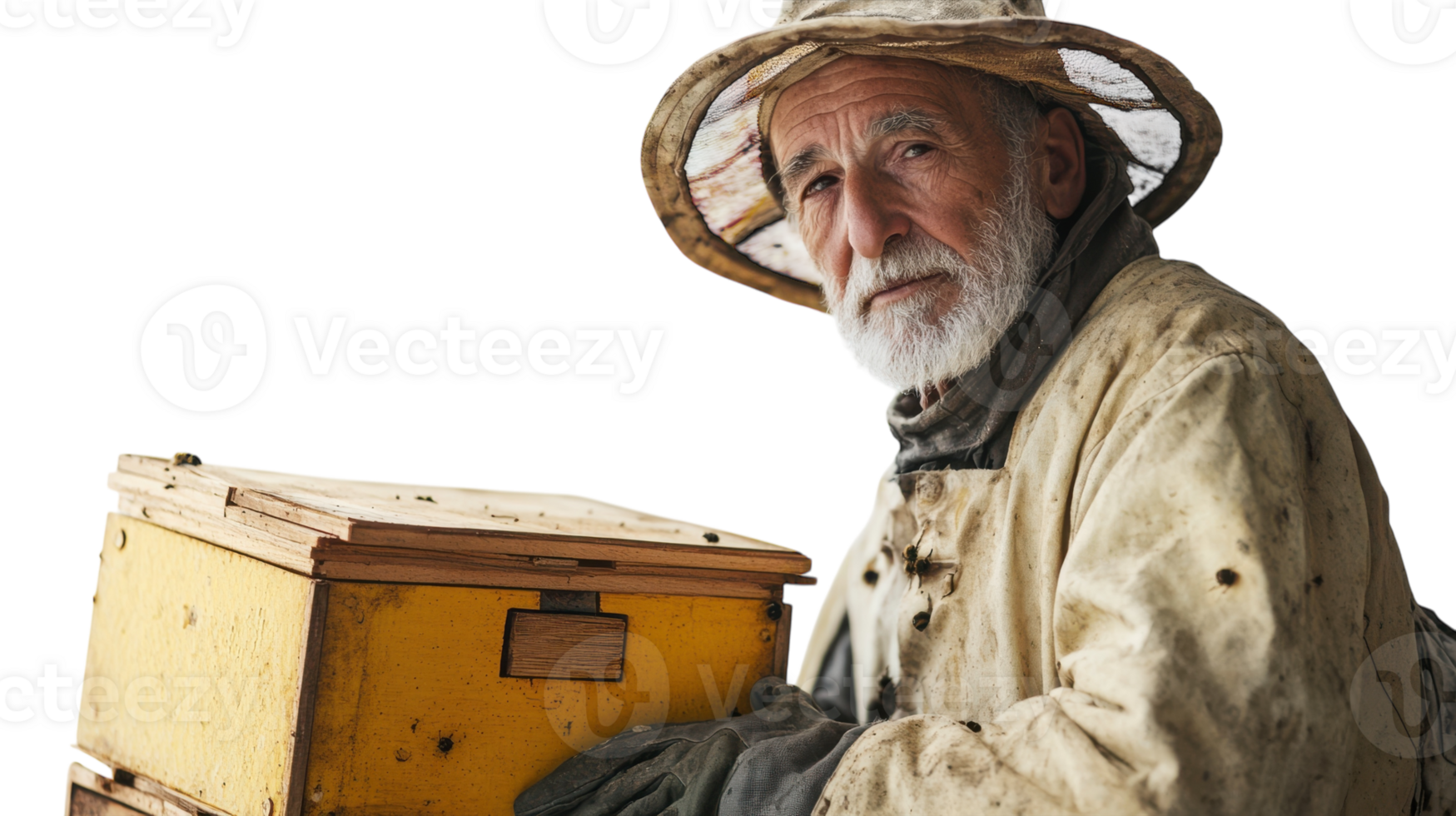 An elderly man clad in a beekeepers suit tending to his apiary, demonstrating the art of beekeeping while showcasing the importance of bees in our ecosystem and their role in agriculture.. png