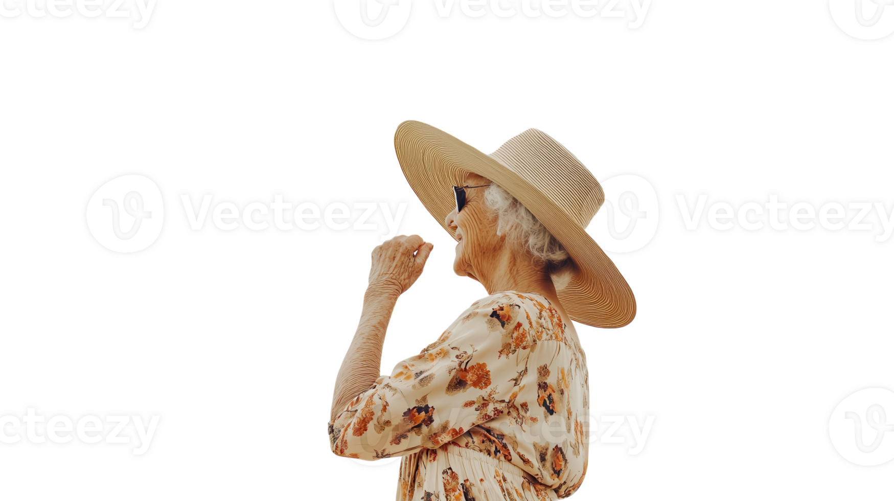 Portrait of an elderly woman wearing a stylish summer dress with a wide-brimmed hat, ideal for illustrating themes of elegance, summer activities, and generational wisdom.. png