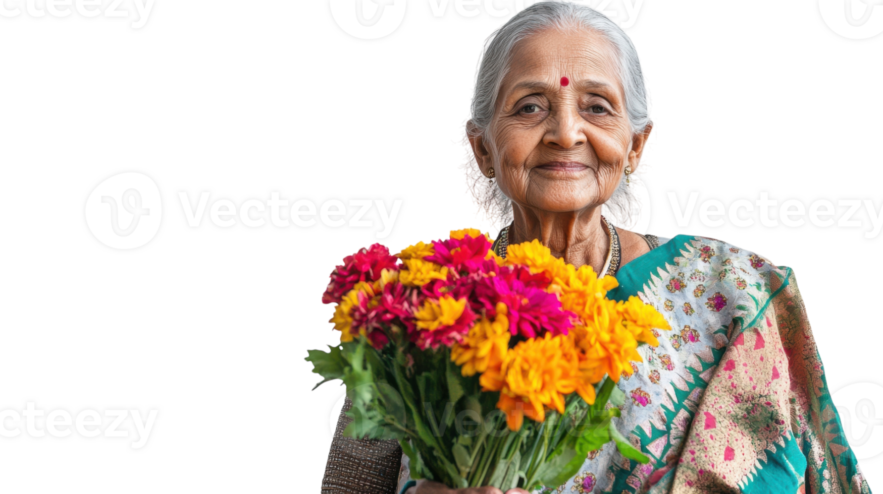 An elderly woman gracefully draped in a traditional sari, symbolizing cultural heritage, wisdom, and the beauty of age in a vibrant and picturesque setting.. png
