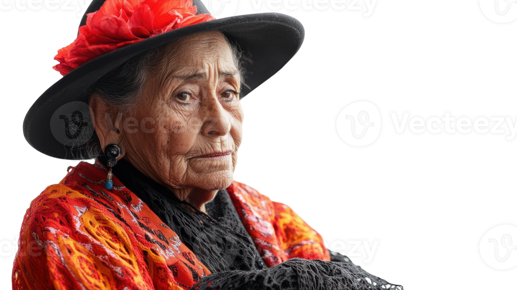 An Old Woman Performing Traditional Spanish Flamenco Dance Captured in a Colorful Setting of Culture and Passion. png