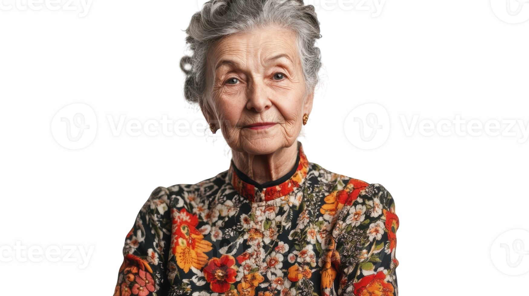 Portrait of an Elderly Woman with Gray Hair Exemplifying Traditional Cultural Attire for Use in Diverse Contexts. png