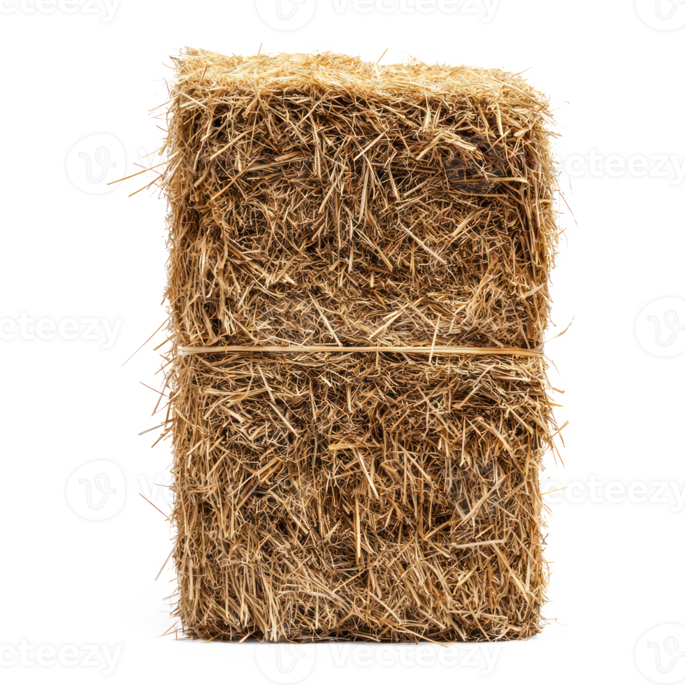 hay front view isolate on transparency background png