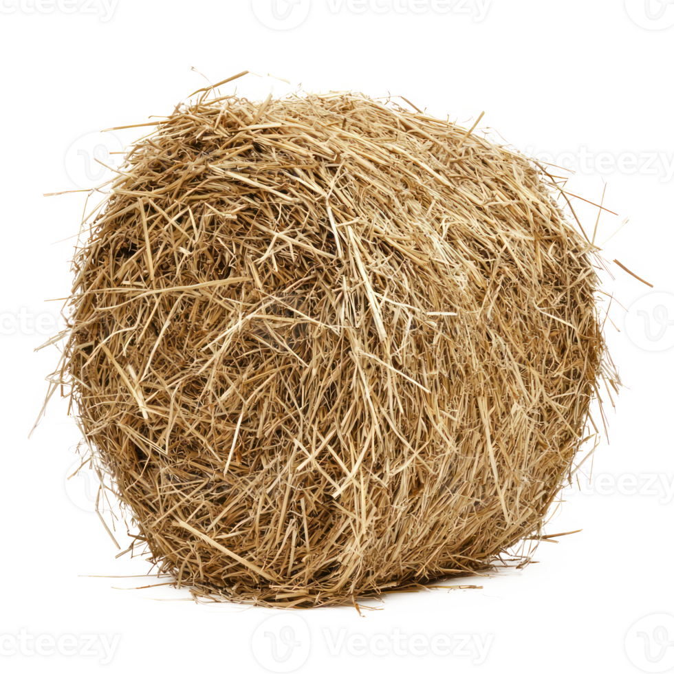 hay front view isolate on transparency background png