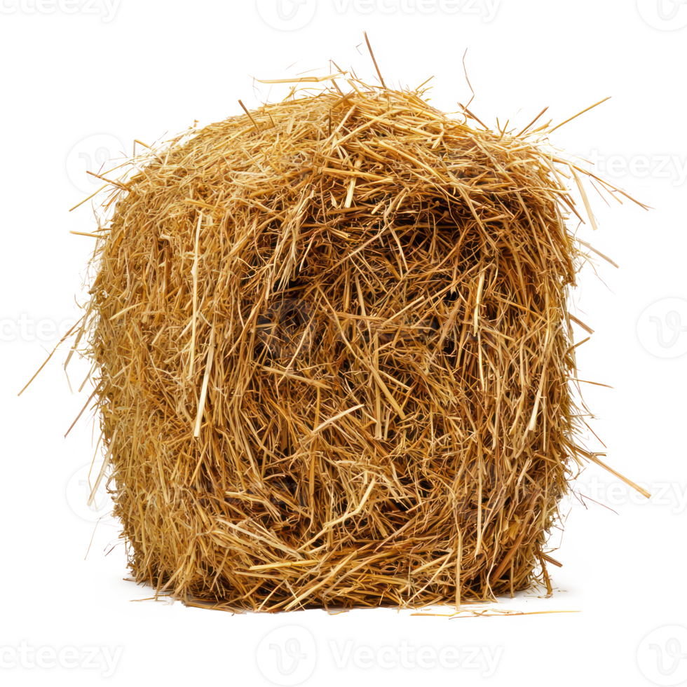 hay front view isolate on transparency background png