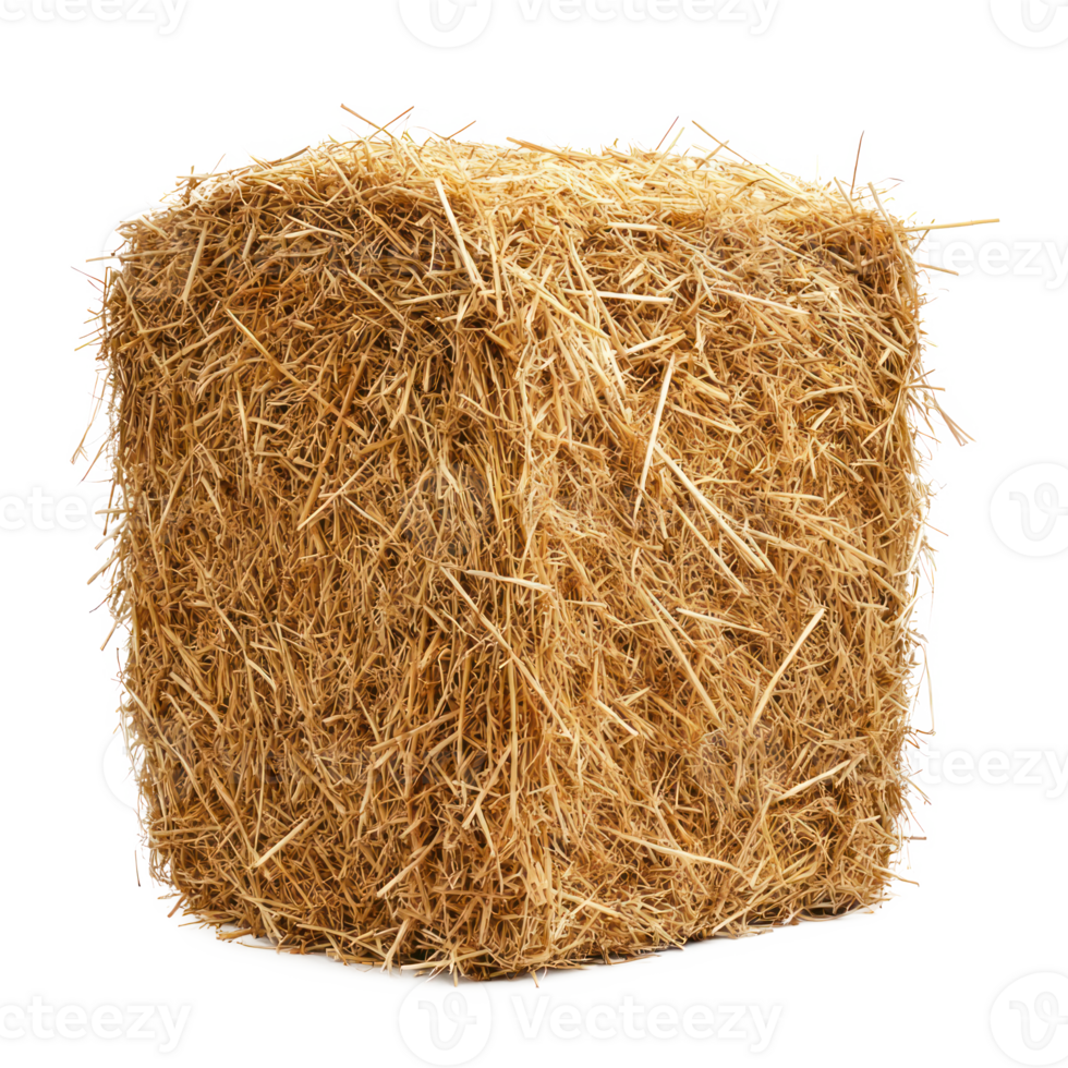 hay side view isolate on transparency background png