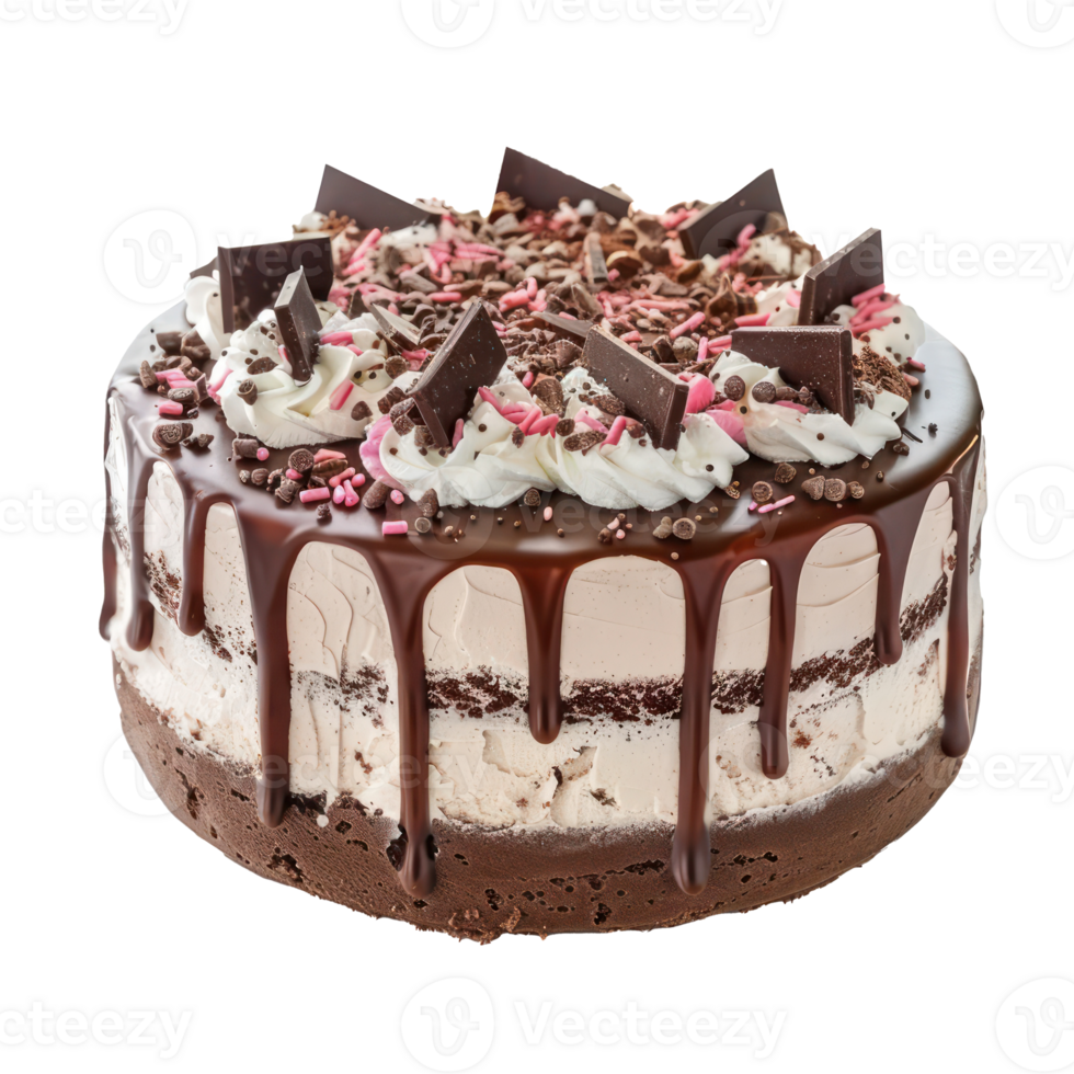 a cake with chocolate and ice cream on top png