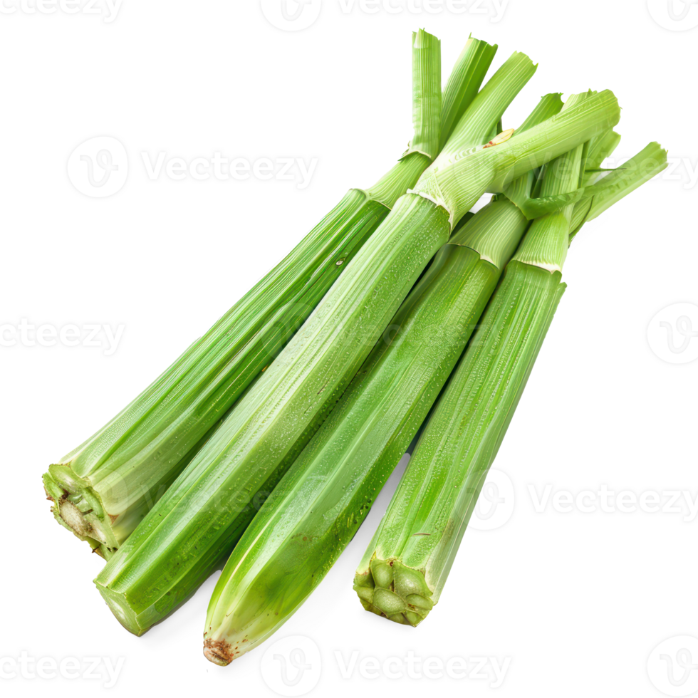 green celery on a transparency background png