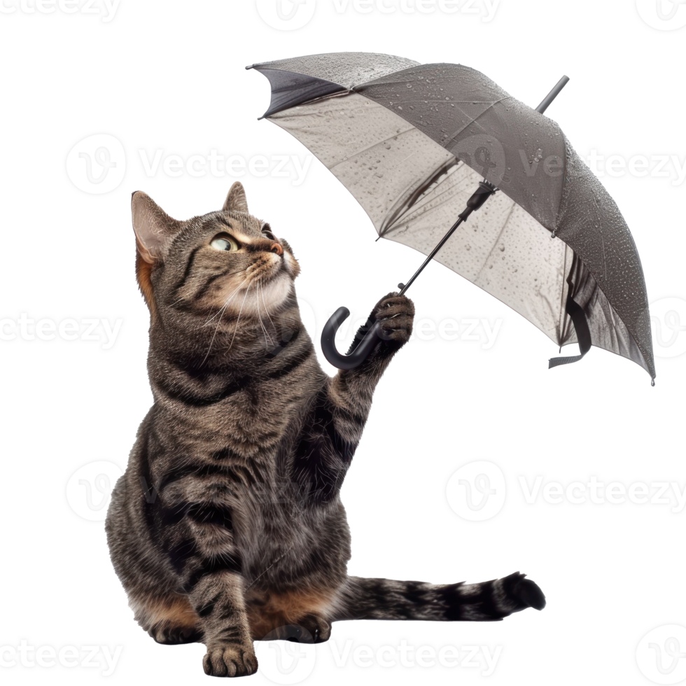 Smiling cat sitting while holding umbrella, full body isolate on transparency background png